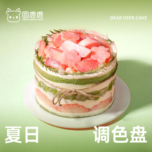 夏日调色盘 商品图0