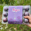 云阳南溪五月脆李！净重7斤，带箱8斤，大果，普通快递包邮，下雨不发货哟！ 商品缩略图3