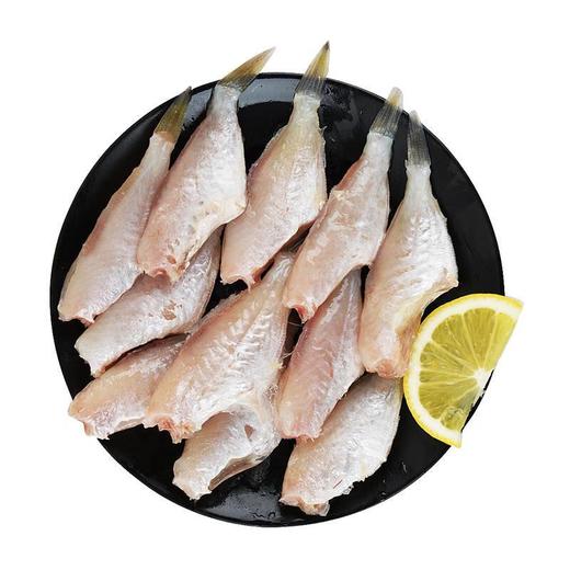 冷冻小耗儿鱼20/40 商品图4