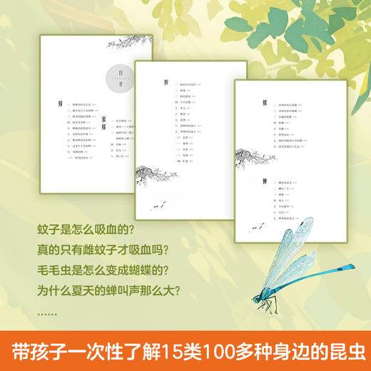 2025年百班千人暑期书目四年级 神奇的昆虫王国昆虫漫话 名师推荐正版现货 商品图4
