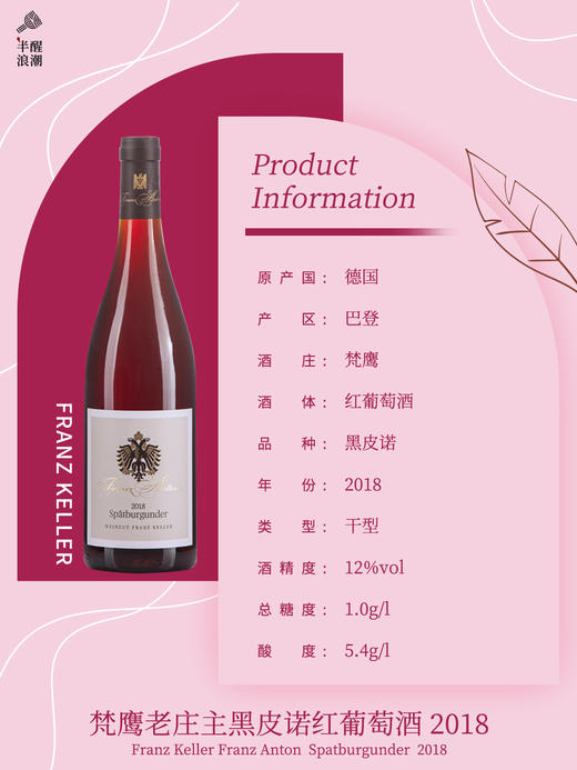 德国巴登丨梵鹰老庄主黑皮诺红葡萄酒2018（干型）Franz Keller Franz Anton  Spatburgunder  2018 商品图2