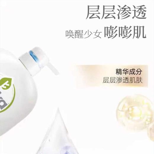 威露士菁华seika茉莉花香沐浴露滋润保湿留香烟酰胺沐浴乳500ml效期26年4月 商品图8