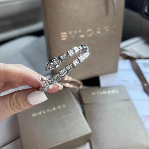 F661宝GE丽灵蛇 蛇骨手镯 商品图1