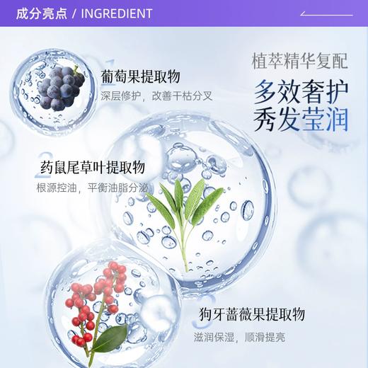 500ml莱清菲洗护系列 日本原装进口 植萃呵护 留香48小时 商品图1