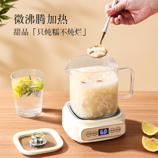 【一壶多用，养生新宠🍵】0异味安心煮茶，多功能花茶壶养生壶，玻璃通透可视✨甜品、花茶、炖品全搞定！🔥秒速升温，煮好自动保温，健康生活从这一壶开始！ 商品图7