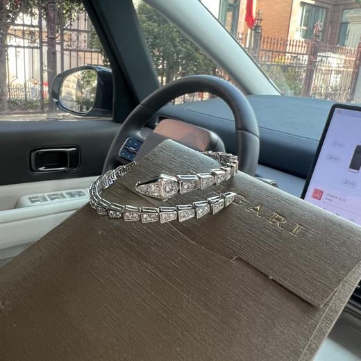 F661宝GE丽灵蛇 蛇骨手镯 商品图3