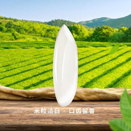恩施硒米 5kg【WHGS】 商品图2