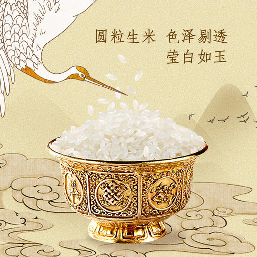 金龙鱼乳玉皇妃稻香贡米5kg 商品图3