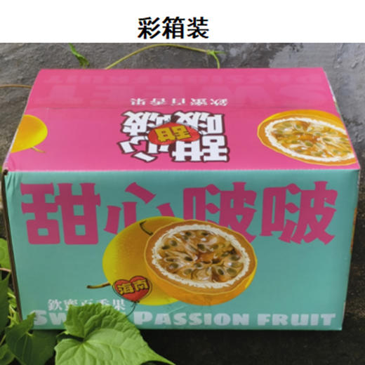 海南精品钦蜜9号黄金百香果（彩箱/礼盒 ）京东发货 商品图6