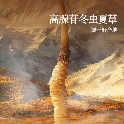 北京同仁堂 锁鲜冬虫夏草 （干虫草）（断草*100克） 商品图2