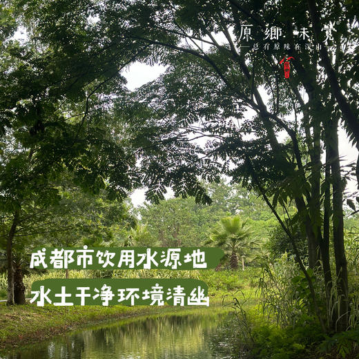【预售，7月2日发】生态彩色小番茄（基地直发-顺丰包邮）| 来自四川成都，沙瓤多汁，番茄味儿足，生产者：胡雪梅【合作生产，公平贸易】 商品图5
