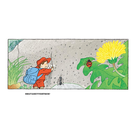 2025年百班千人暑期书目一年级 如何越过这堵墙？  名师推荐正版现货 商品图2