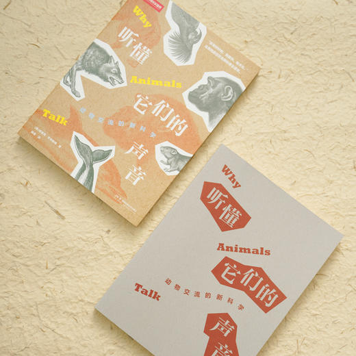 听懂它们的声音：“动物语言学”从入门到精通，一本书讲透动物的“语言”问题，像动物学家那样认识和理解动物 科普 商品图3