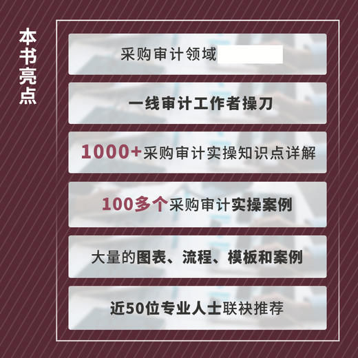 采购审计实务指南 采购审计概述风险高发领域舞弊行为原理分析控制审计流程取证访谈技巧 数字化采购ESG审计管理实务工具书籍 商品图2