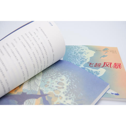 2025年百班千人暑期书目三年级 飞越风暴  名师推荐正版现货 商品图2