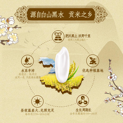金龙鱼乳玉皇妃稻香贡米5kg 商品图2
