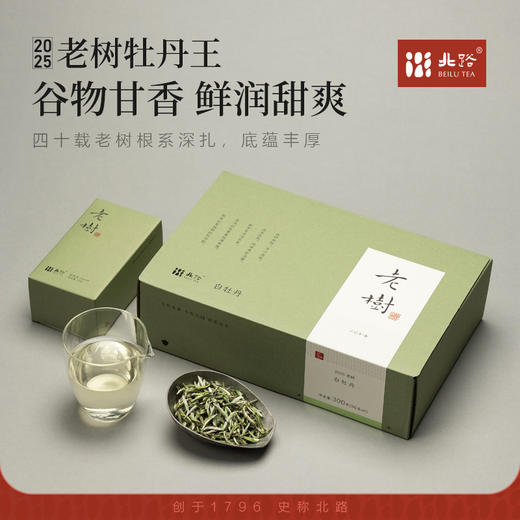 「北路白茶」老树牡丹王 福鼎白茶白牡丹2025年新茶茶叶礼盒装300g 商品图0