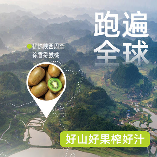 [屁侠推荐]零度果坊 早橙好果汁猕猴桃汁/白桃芭乐汁/橙汁/葡萄汁/菠萝苹果汁 280ml*8瓶装混合饮料品 商品图2