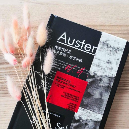 温弗里德·塞巴尔德作品《奥斯特利茨》 《土星之环》《移民》《自然之后》 商品图3