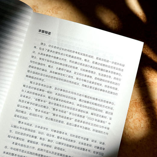 小学整本书阅读教学 从知识储备走向素养训练 大夏书系 李怀源 商品图10