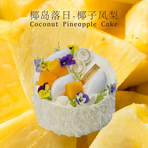 LS005 “椰岛落日” 椰子凤梨 蛋糕 商品图0