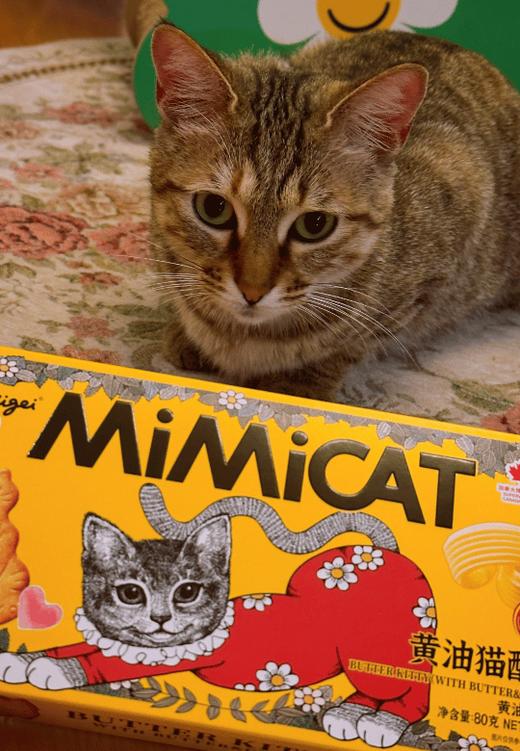 Aoligei奥力给卡通猫造型黄油芝士咖啡味薄脆饼干休闲充饥小零食80g (8小包)/盒 商品图1