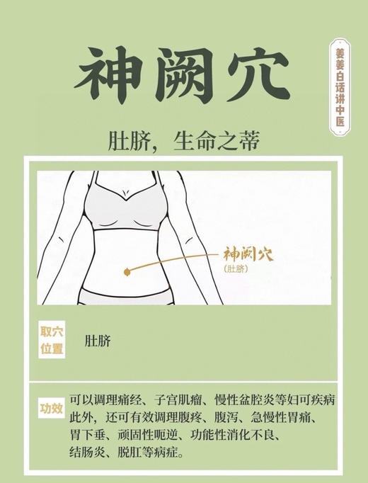 年后发！29.9💰5盒❗男女大肚腩救星❗️香港万宁大药房监制❗千年传承的肚脐贴配方❗逼出陈年湿寒❗️一贴燃烧500卡！【SUSIR無濕輕-蜜貼】免税店💰79/盒✅精选7味名贵中天然草药熬制 商品图13