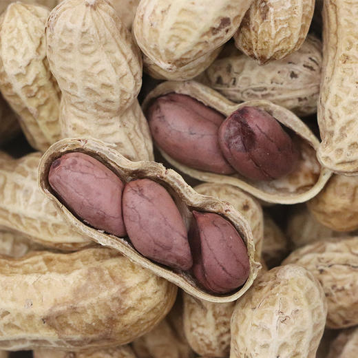 阿比该咸干花生500g*2 商品图1