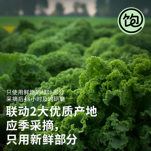 【鸣奇】王饱饱天然粉粉【周日不发货】 冷磨更营养——直接吃、随手搭，健康生活轻松囤！ 商品图1