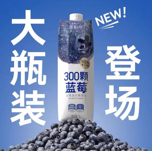 【源制所】蓝莓西梅复合果蔬汁·2瓶·浓郁清甜·口感醇厚顺滑·酸甜解腻 商品图1