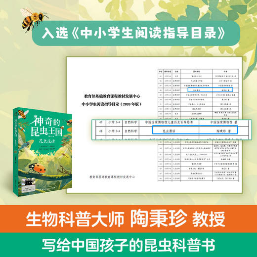 2025年百班千人暑期书目四年级 神奇的昆虫王国昆虫漫话 名师推荐正版现货 商品图1