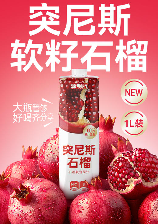 【源制所】突尼斯石榴汁果蔬汁·2瓶·清甜爽口·果香浓郁·鲜榨诱人 商品图0