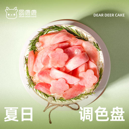 夏日调色盘 商品图2