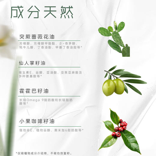 杞冠严选 | 知和无尤 · 星眸 大马士革玫瑰焕亮精油7毫升面部精油 商品图3