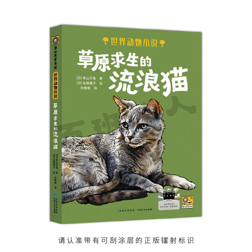 2025年百班千人暑期书目六年级  草原求生的流浪猫 名师推荐正版现货 商品图1