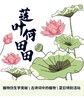 河南自博-研学【莲叶何田田】 商品缩略图0