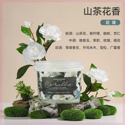 10g*70粒晴天大白5D洗衣凝珠山茶花 洁净版/留香版 植物精油调香 持久留香30天 商品图2
