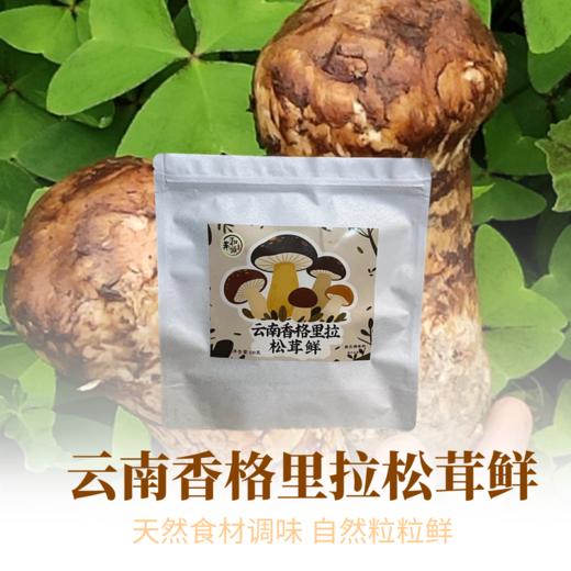云南香格里拉松茸鲜 固态调味料 商品图1