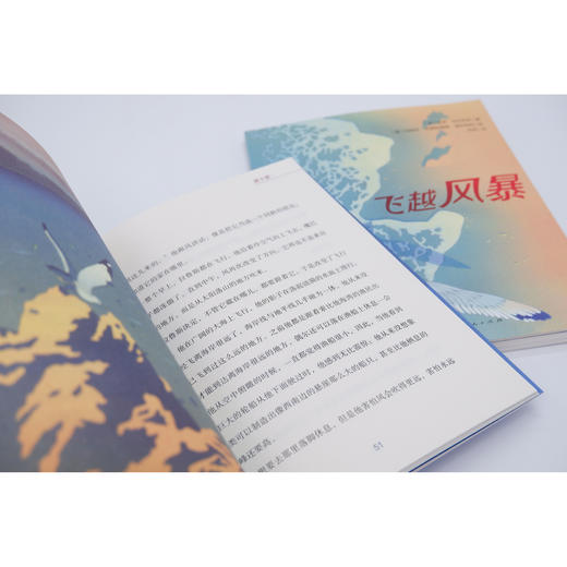 2025年百班千人暑期书目三年级 飞越风暴  名师推荐正版现货 商品图3