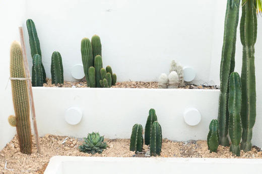 洞头伴日House丨6间包栋 商品图8