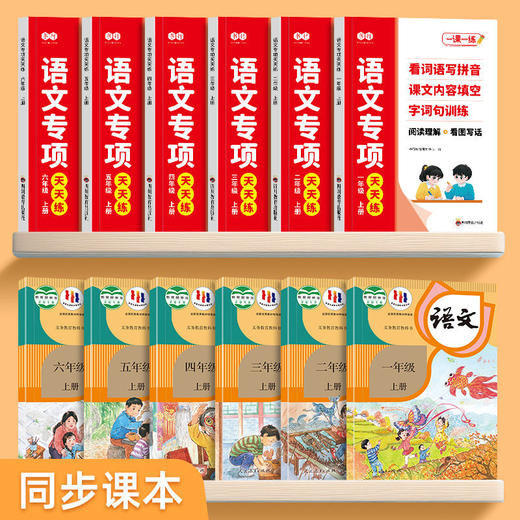 （会员）2025小学语文数学英语专项天天练1-6年级语文看拼音写词语阅读理解训练册 商品图4
