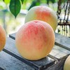 龙泉白凤水蜜桃2.5kg/盒 商品缩略图4