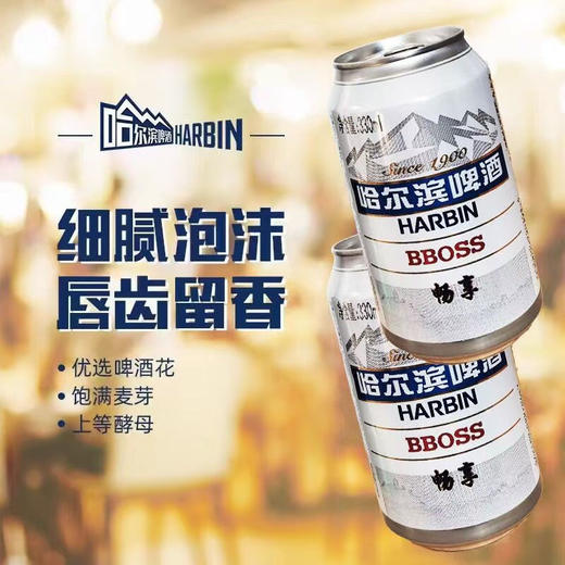 【十堰主城区包邮】哈尔滨畅享啤酒 330ml*24罐/件 商品图1