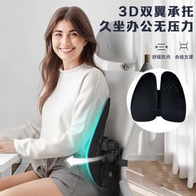 【办公室护腰靠垫久坐神器汽车载腰靠】人体工学腰靠办公室久坐腰枕背靠座椅10.