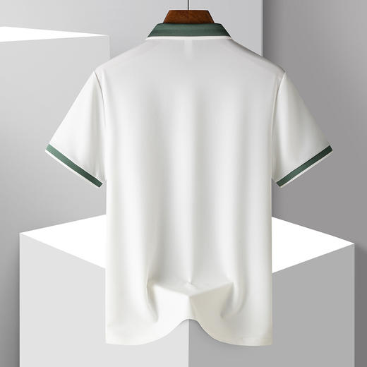 【凉感抗菌无痕抗皱】罗蒙夏季男士Polo衫冰丝t恤舒适透气休闲百搭男短袖t恤 商品图2