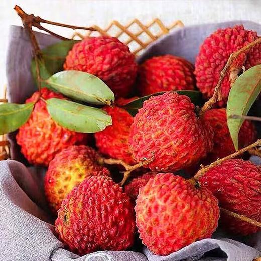 荔枝王 商品图2