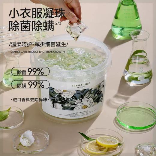 10g*70粒晴天大白5D洗衣凝珠山茶花 洁净版/留香版 植物精油调香 持久留香30天 商品图1