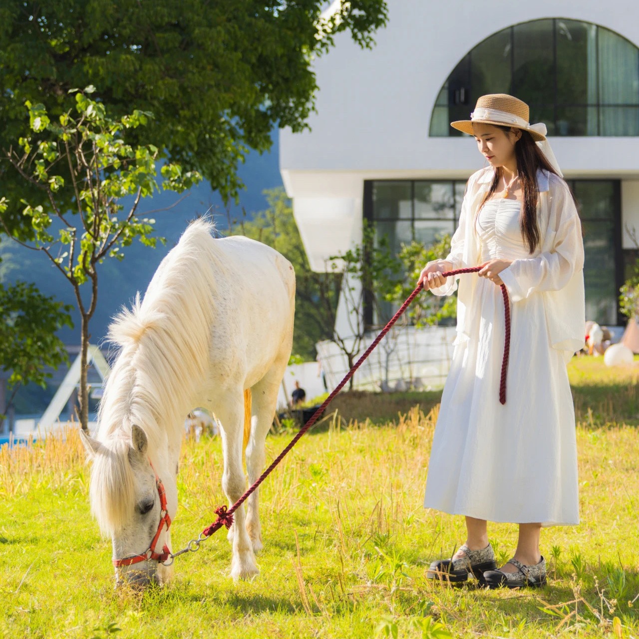 丽水景宁丨那云 · 云养中心酒店丨2晚套餐（不可拆分）