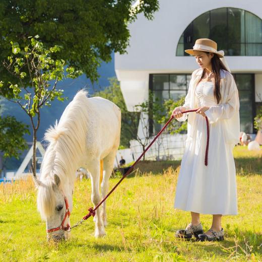 丽水景宁丨那云 · 云养中心酒店丨2晚套餐（不可拆分） 商品图0