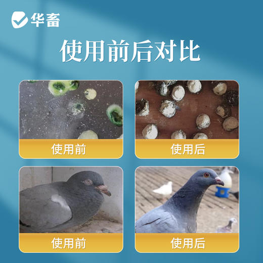 华畜啤酒酵母活力粉鸽用鹦鹉诱食促消化活菌调肠道节水便绿便保健 商品图1